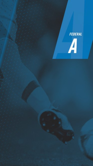 Se disputó la fecha 15 del Federal A 