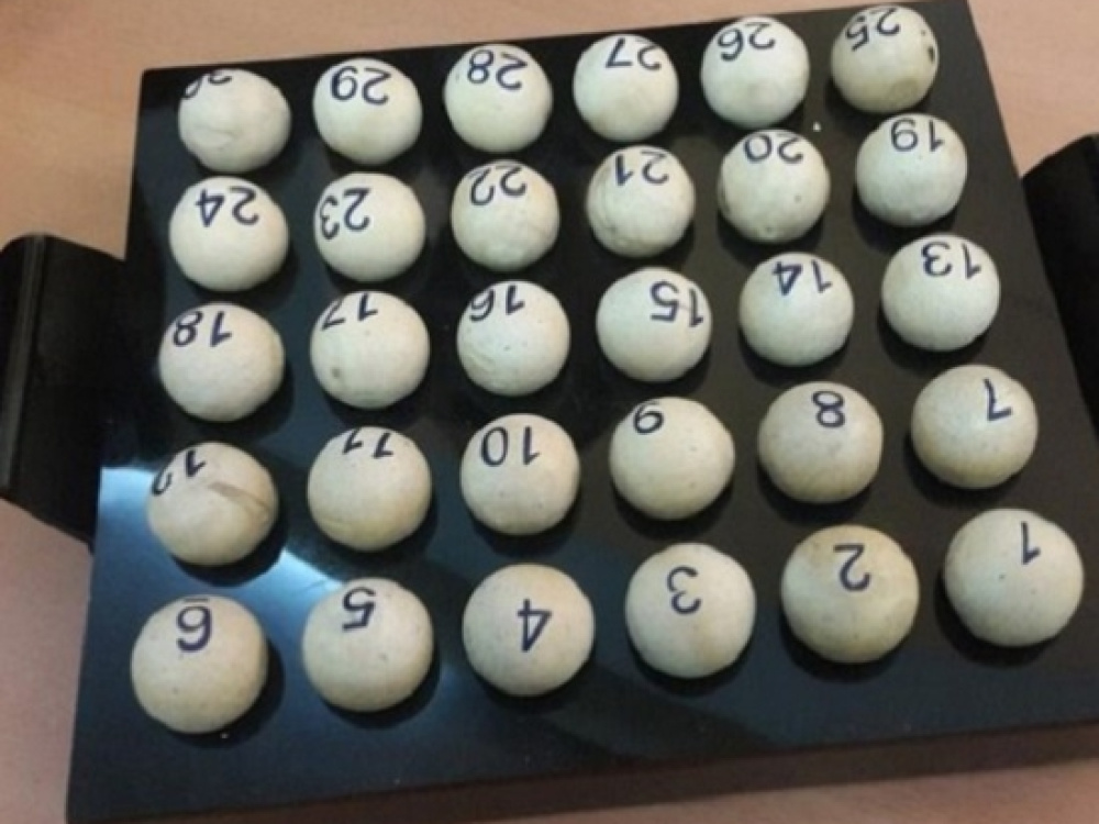 Conocé a todos los participantes