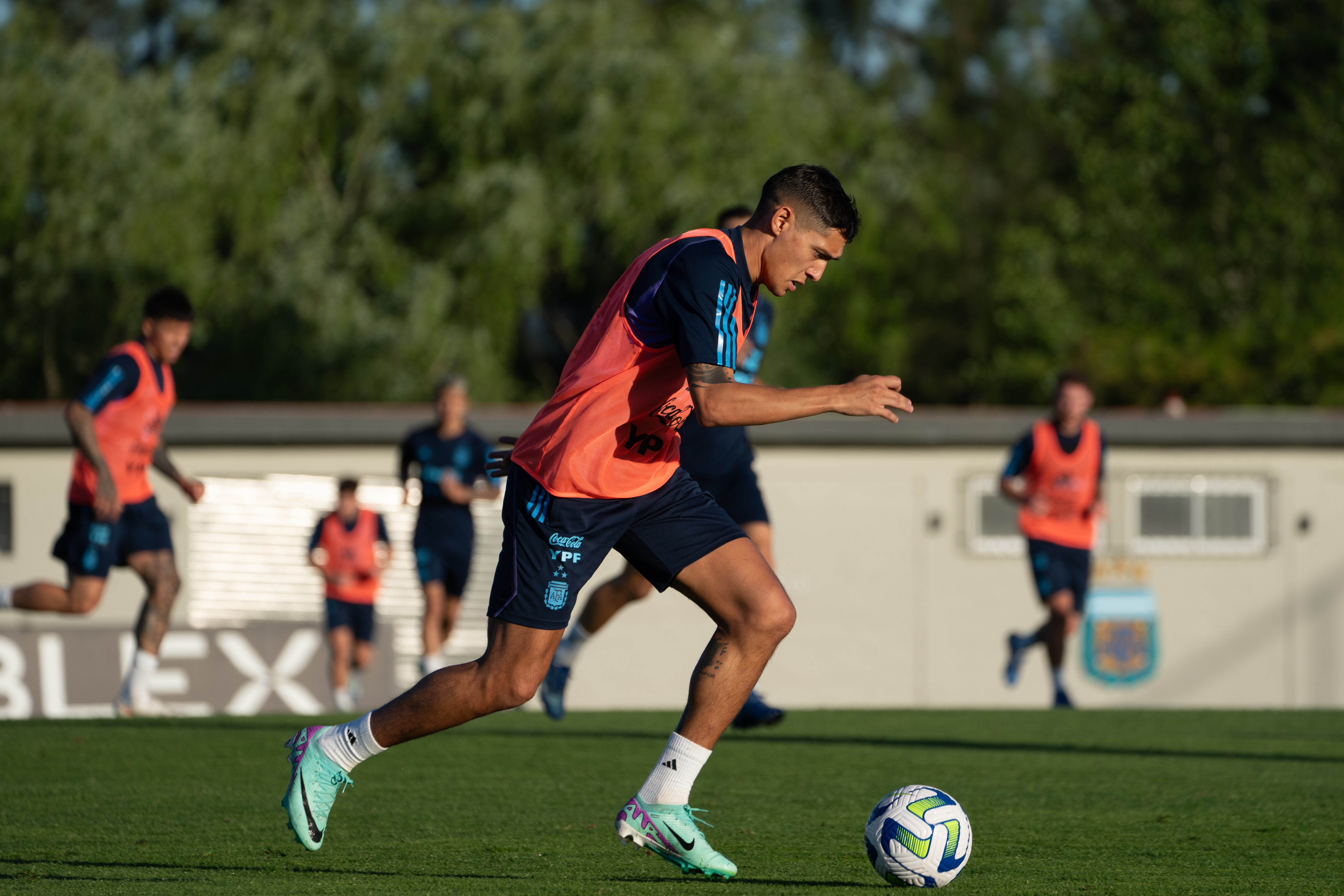 Nuevo entrenamiento