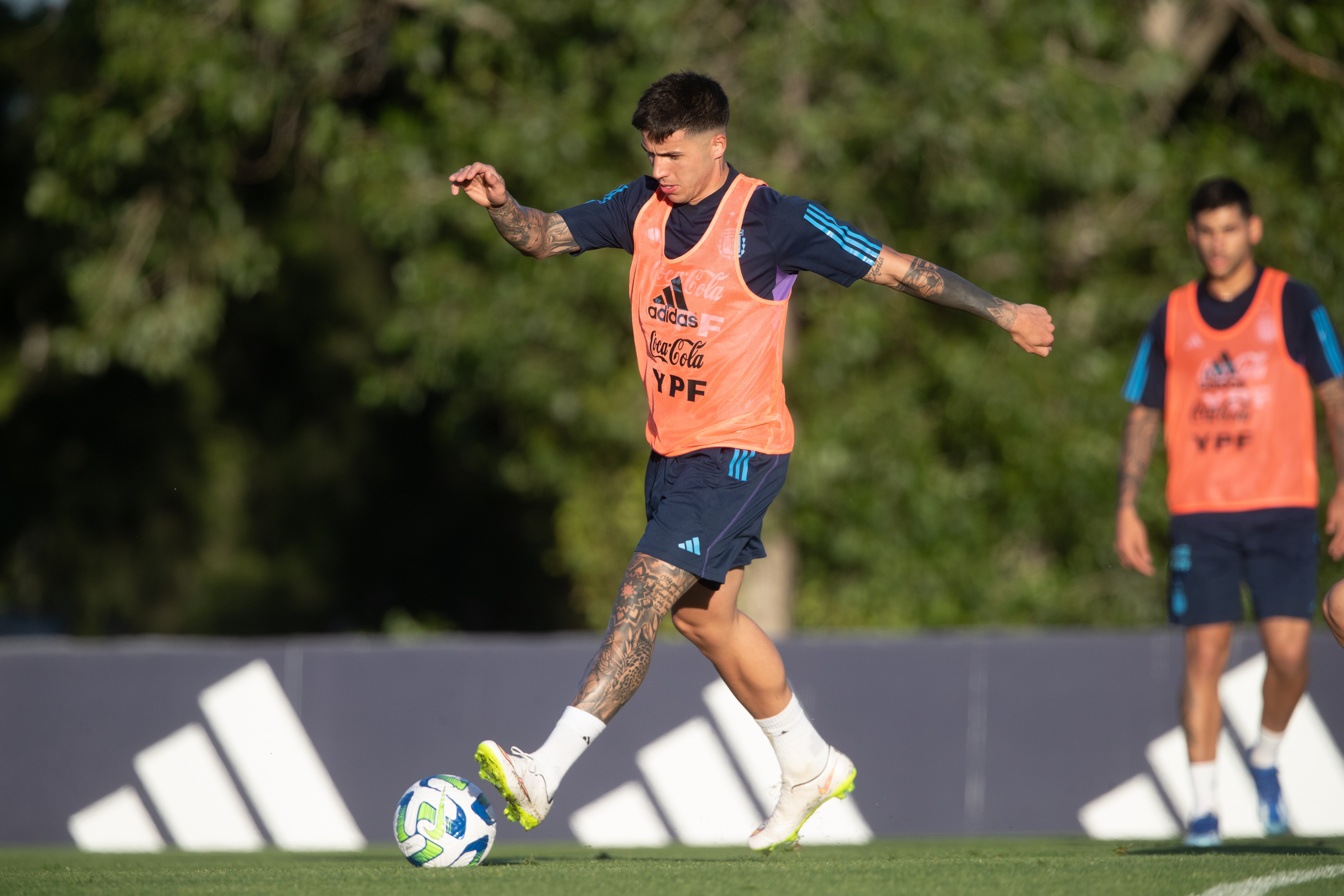 Nuevo entrenamiento